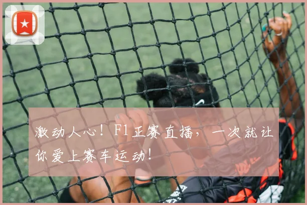 激动人心！F1正赛直播，一次就让你爱上赛车运动！