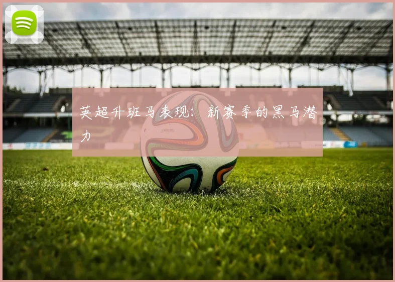 英超升班马表现:新赛季的黑马潜力