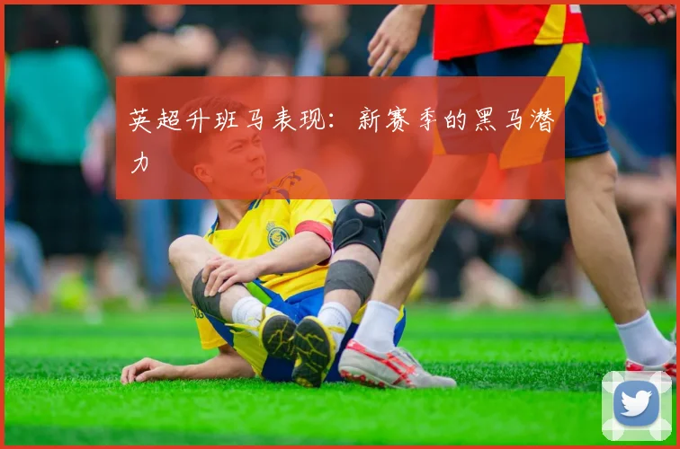英超升班马表现：新赛季的黑马潜力